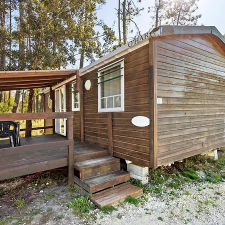 Chalet T3 I V- 15 Min From Nazare *