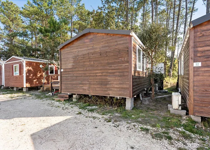 T3 I V- 15 Min From Nazare Chalet *