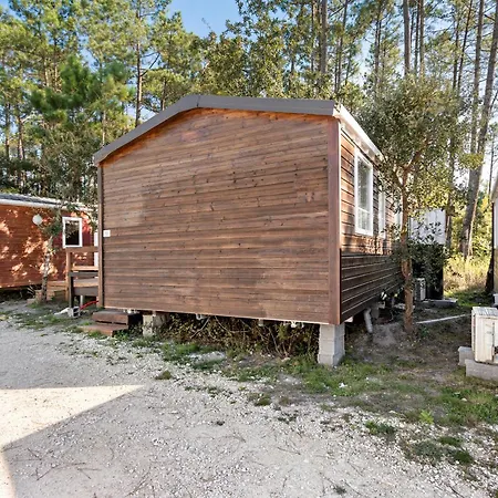 T3 I V- 15 Min From Nazare Alpehytte *